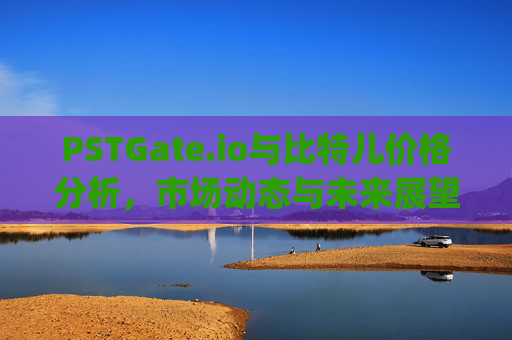 PSTGate.io与比特儿价格分析，市场动态与未来展望 pstgateio比特儿价格