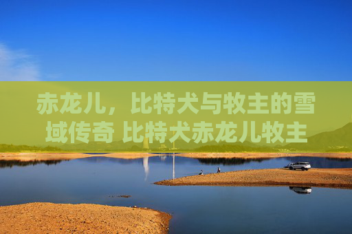 赤龙儿，比特犬与牧主的雪域传奇 比特犬赤龙儿牧主