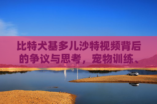 比特犬基多儿沙特视频背后的争议与思考，宠物训练、动物权益与文化差异 比特犬基多儿沙特视频