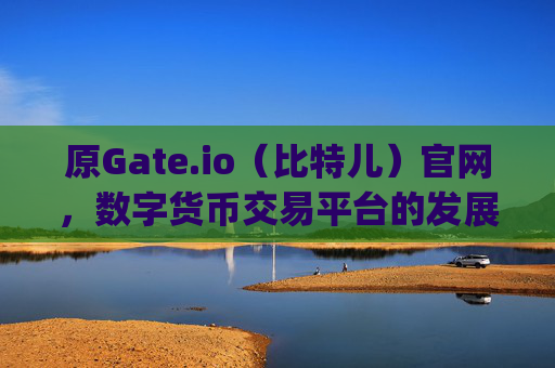 原Gate.io（比特儿）官网，数字货币交易平台的发展与未来 原gateio比特儿官网