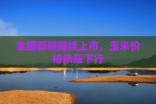 全国新粮陆续上市，玉米价格承压下行