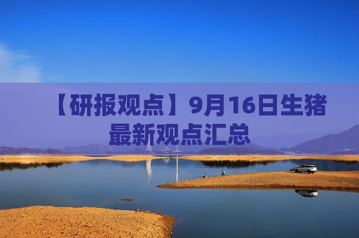 【研报观点】9月16日生猪最新观点汇总