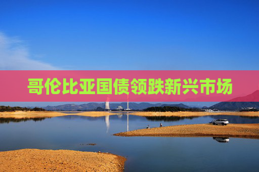 哥伦比亚国债领跌新兴市场