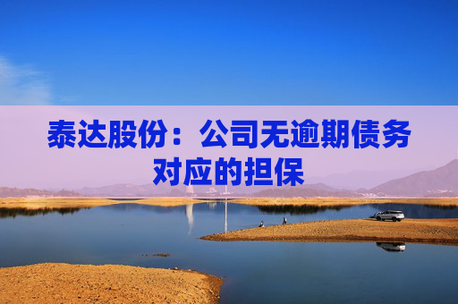 泰达股份：公司无逾期债务对应的担保