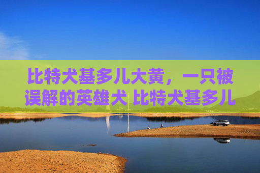 比特犬基多儿大黄，一只被误解的英雄犬 比特犬基多儿大黄