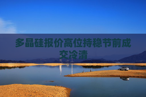 多晶硅报价高位持稳节前成交冷清