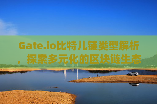 Gate.io比特儿链类型解析，探索多元化的区块链生态 gateio比特儿链类型