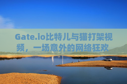 Gate.io比特儿与猫打架视频，一场意外的网络狂欢 gateio比特儿与猫打架视频
