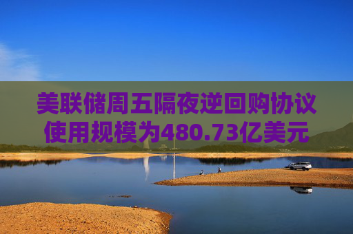 美联储周五隔夜逆回购协议使用规模为480.73亿美元
