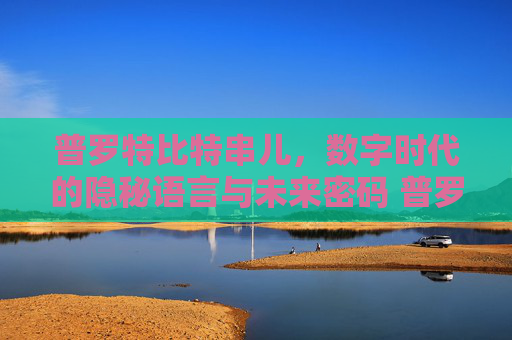 普罗特比特串儿，数字时代的隐秘语言与未来密码 普罗特比特串儿