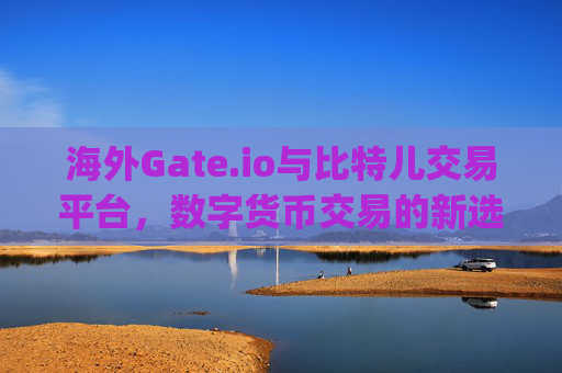 海外Gate.io与比特儿交易平台，数字货币交易的新选择 海外gateio比特儿交易平台