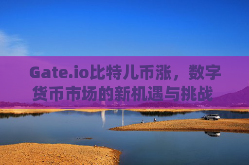 Gate.io比特儿币涨，数字货币市场的新机遇与挑战 gateio比特儿币涨