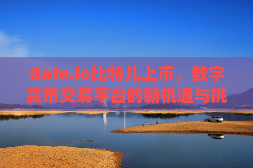 Gate.io比特儿上币，数字货币交易平台的新机遇与挑战 上gateio比特儿上币