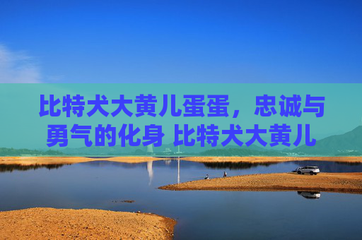 比特犬大黄儿蛋蛋，忠诚与勇气的化身 比特犬大黄儿蛋蛋