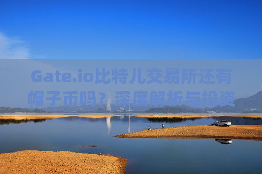 Gate.io比特儿交易所还有帽子币吗？深度解析与投资指南 gateio比特儿还有帽子币吗
