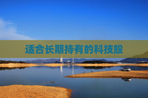 适合长期持有的科技股