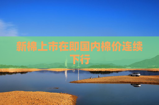 新棉上市在即国内棉价连续下行