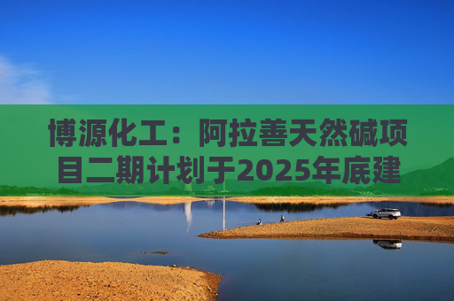 博源化工：阿拉善天然碱项目二期计划于2025年底建成，根据项目建设进度，二期4#锅炉于2025年9月19日点火成功