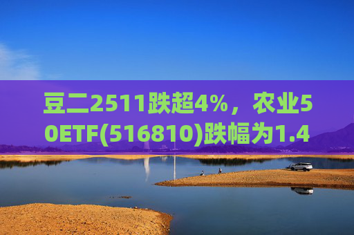 豆二2511跌超4%，农业50ETF(516810)跌幅为1.47%