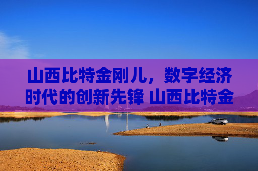 山西比特金刚儿，数字经济时代的创新先锋 山西比特金刚儿