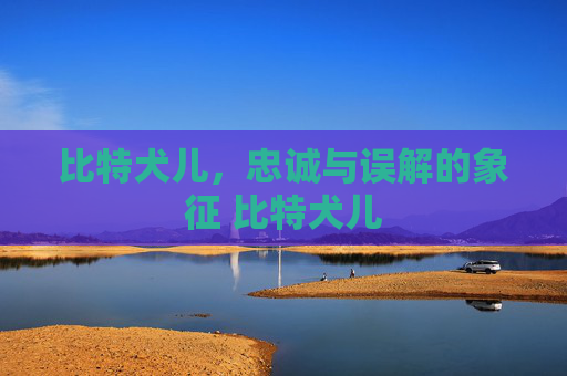 比特犬儿，忠诚与误解的象征 比特犬儿