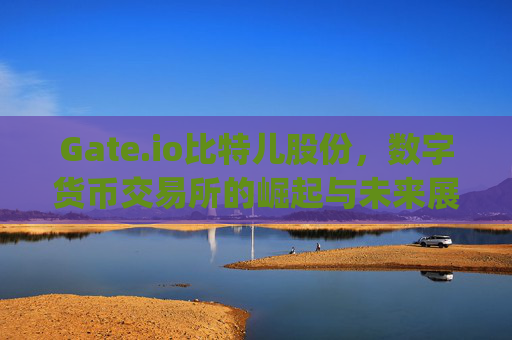 Gate.io比特儿股份，数字货币交易所的崛起与未来展望 gateio比特儿股份