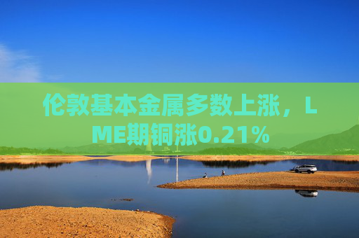 伦敦基本金属多数上涨，LME期铜涨0.21%