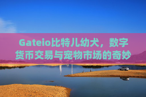 Gateio比特儿幼犬，数字货币交易与宠物市场的奇妙结合 gateio比特儿幼犬