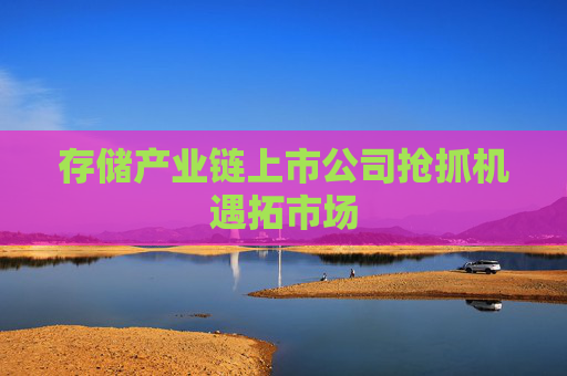 存储产业链上市公司抢抓机遇拓市场