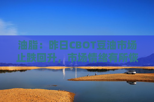 油脂：昨日CBOT豆油市场止跌回升，市场情绪有所恢复