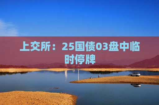 上交所：25国债03盘中临时停牌