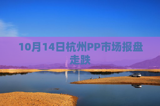 10月14日杭州PP市场报盘走跌