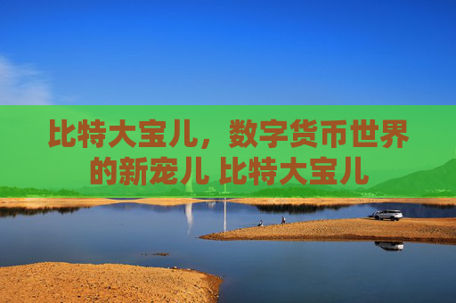 比特大宝儿，数字货币世界的新宠儿 比特大宝儿