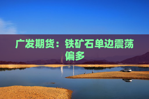 广发期货：铁矿石单边震荡偏多