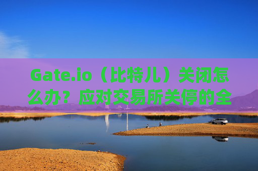 Gate.io（比特儿）关闭怎么办？应对交易所关停的全面指南 gateio比特儿关闭怎么办