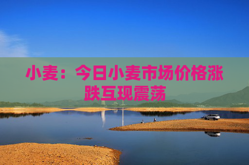 小麦：今日小麦市场价格涨跌互现震荡