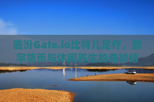 临汾Gate.io比特儿足疗，数字货币与休闲养生的奇妙结合 临汾gateio比特儿足疗