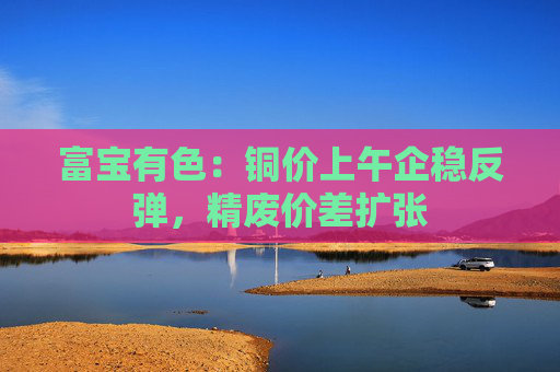 富宝有色：铜价上午企稳反弹，精废价差扩张