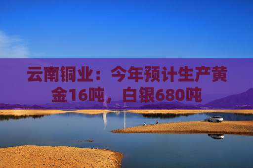 云南铜业：今年预计生产黄金16吨，白银680吨