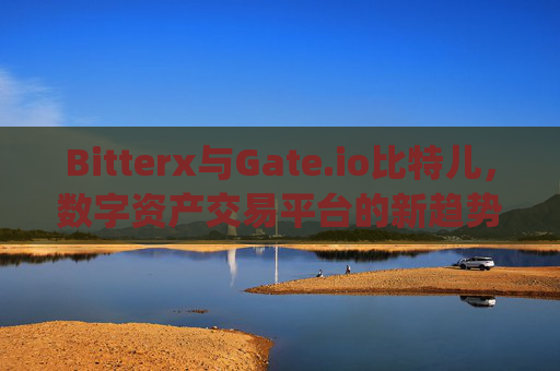 Bitterx与Gate.io比特儿，数字资产交易平台的新趋势与挑战 bitterx与gateio比特儿