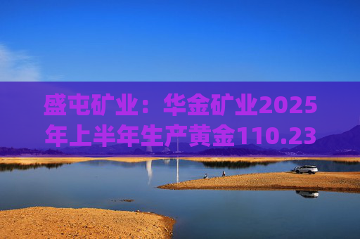 盛屯矿业：华金矿业2025年上半年生产黄金110.23kg