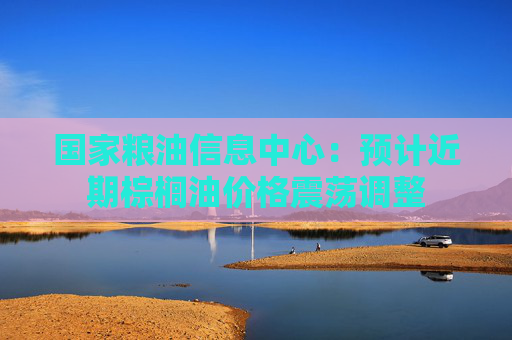 国家粮油信息中心:预计近期棕榈油价格震荡调整