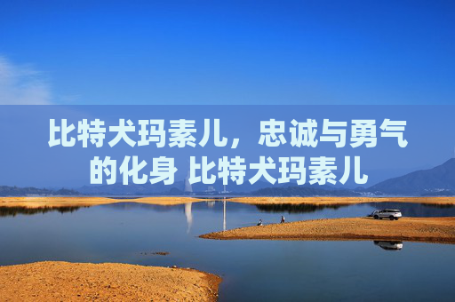 比特犬玛素儿，忠诚与勇气的化身 比特犬玛素儿