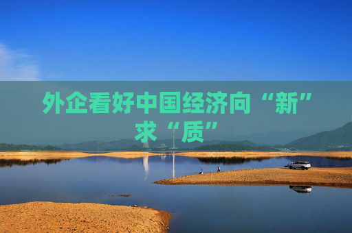 外企看好中国经济向“新”求“质”