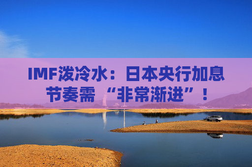 IMF泼冷水：日本央行加息节奏需 “非常渐进”！