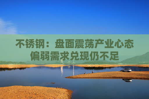 不锈钢:盘面震荡产业心态偏弱需求兑现仍不足