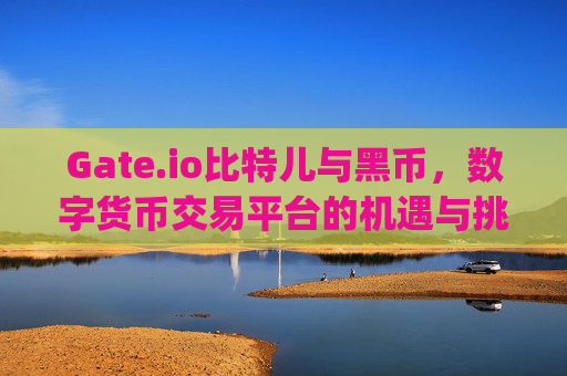 Gate.io比特儿与黑币，数字货币交易平台的机遇与挑战 gateio比特儿黑币