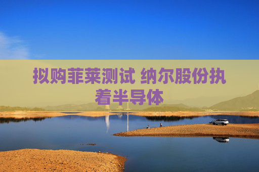 拟购菲莱测试 纳尔股份执着半导体