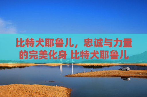 比特犬耶鲁儿，忠诚与力量的完美化身 比特犬耶鲁儿