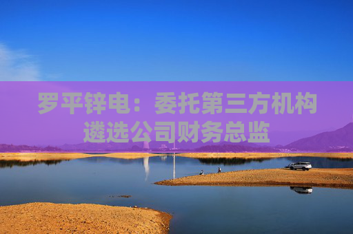 罗平锌电：委托第三方机构遴选公司财务总监
